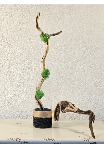 El Yapımı Doğal Ahşap & Cam Dekor – 3 Renk Seçenekli Minimal Masa Üstü Obje (Beyaz, Kum, Siyah) fiyatları