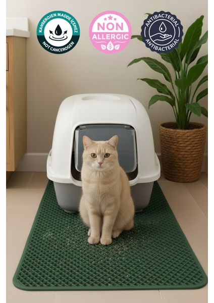 40X40 cm Yeşil Kedi Tuvaleti Önü Paspası Kedi Kumu Paspası