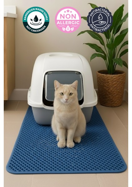 50X75 cm Mavi Kedi Tuvaleti Önü Paspası Kedi Kumu Paspası