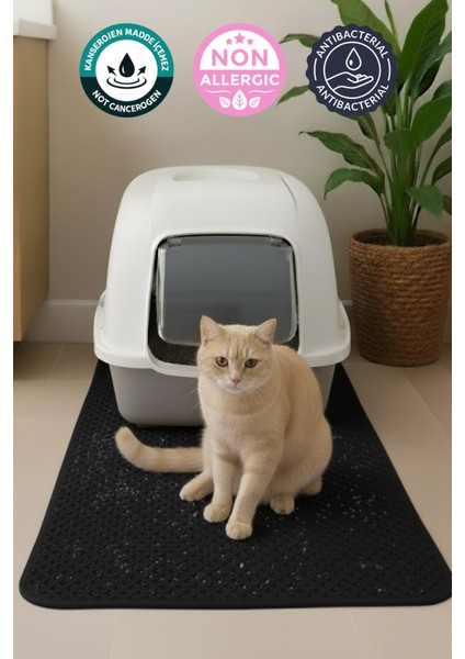 50X100 cm Siyah Kedi Tuvaleti Önü Paspası Kedi Kumu Paspası