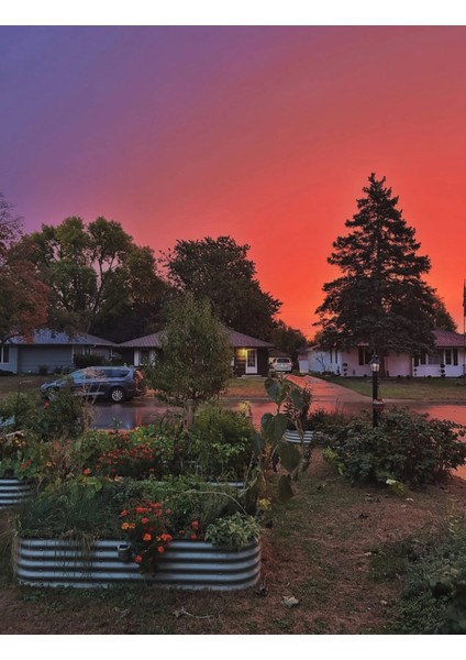 Dayanıklı Metal Yükseltilmiş Bahçe Yatağı – Sebze ve Çiçek Yetiştirmek Için Modern, Uzun Ömürlü Bahçe Kutusu indirimleri