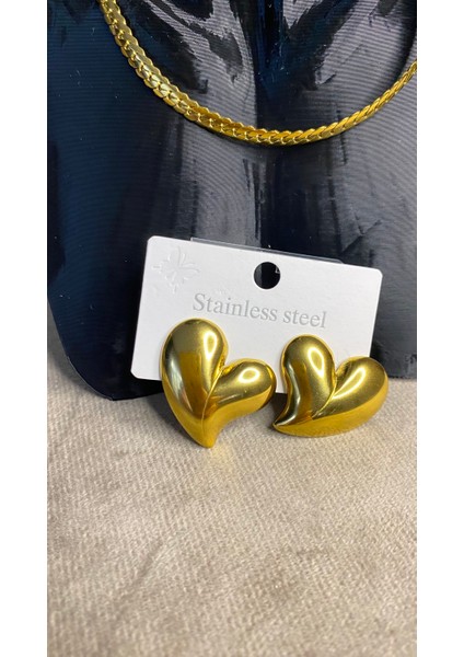 Kalpli Küpe Çelik Kararmaz