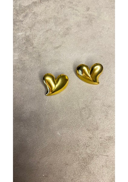 Kalpli Küpe Çelik Kararmaz fiyatları