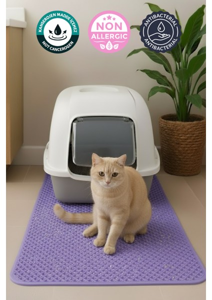70X70 cm Lila Kedi Tuvaleti Önü Paspası Kedi Kumu Paspası