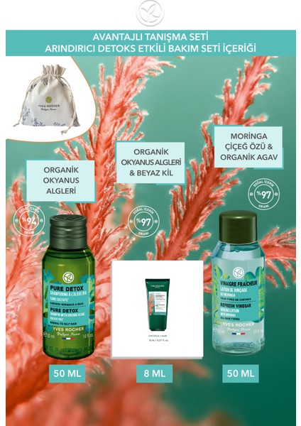Arındırıcı Detoks Etkili Saç Bakım Seyahat Boyu Tanışma Seti fiyatları