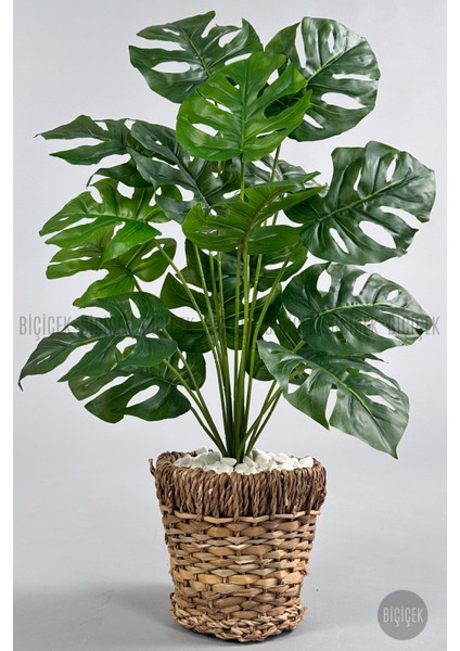 Yapay Monstera Deve Tabanı 65-70 cm Hasır2