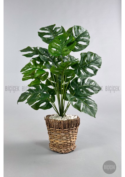 Yapay Monstera Deve Tabanı 65-70 cm Hasır2 fiyatları