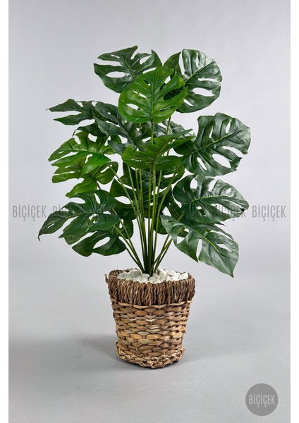 Yapay Monstera Deve Tabanı 65-70 cm Hasır2 fırsatları