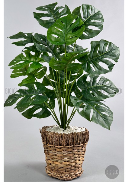 Yapay Monstera Deve Tabanı 65-70 cm Hasır2