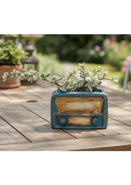 Retro Radyo Sukulent Saksısı ve Kalemlik - Masaüstü Dekoratif Organizer Mavi 12*8 fiyatları