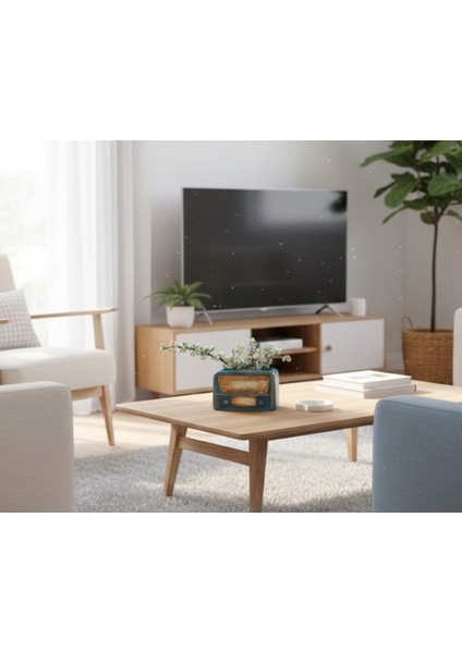 Retro Radyo Sukulent Saksısı ve Kalemlik - Masaüstü Dekoratif Organizer Mavi 12*8 modelleri