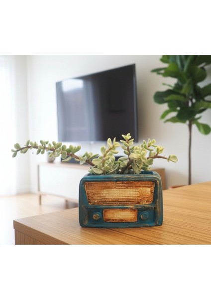 Retro Radyo Sukulent Saksısı ve Kalemlik - Masaüstü Dekoratif Organizer Mavi 12*8 fırsatları