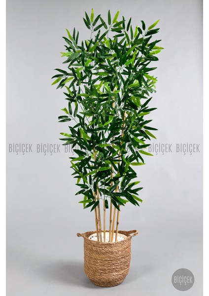 Yapay Bambu Ağacı 6 Dallı 150 cm Yoğun Yapraklı Hasır Saksı1 fiyatları
