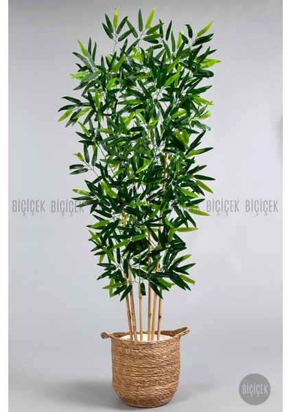 Yapay Bambu Ağacı 6 Dallı 150 cm Yoğun Yapraklı Hasır Saksı1