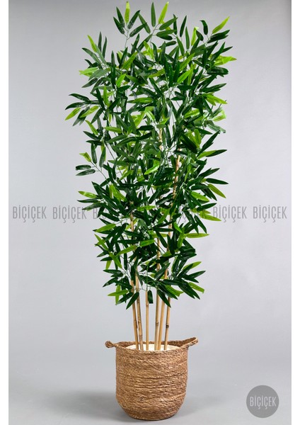 Yapay Bambu Ağacı 6 Dallı 150 cm Yoğun Yapraklı Hasır Saksı1