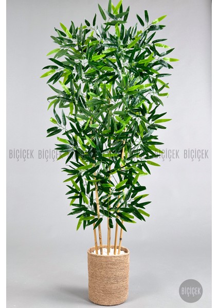 Yapay Bambu Ağacı 6 Dallı 150 cm Yoğun Yapraklı Jüt Saksıda