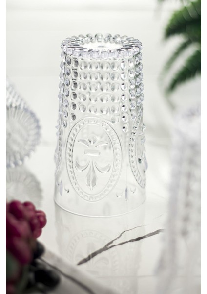 Akrilik Şeffaf 6'lı Uzun Bardak & Su Meşrubat Bardağı 750 ml ( Büyük Boy & Cam Değildir ) modelleri