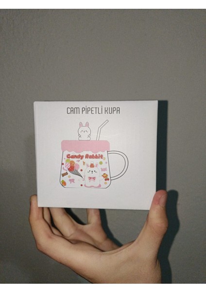 Silikon Kapaklı Pipetli 500ML Cam Bardak Kupa