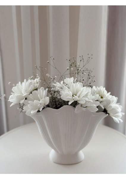 Istiridye Vazo Dekoratif Deniz Kabuğu Şık Tasarım Midye Biblo Parlak Vernikli modelleri