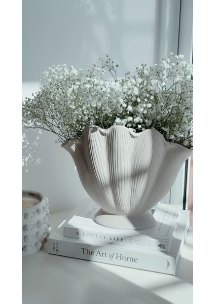 Istiridye Vazo Dekoratif Deniz Kabuğu Şık Tasarım Midye Biblo Parlak Vernikli indirimleri