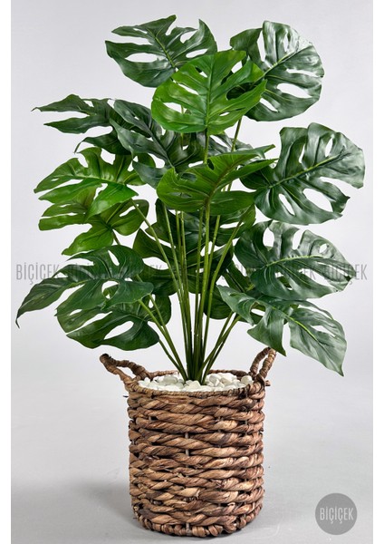 Yapay Monstera Deve Tabanı 65-70 cm Hasır1