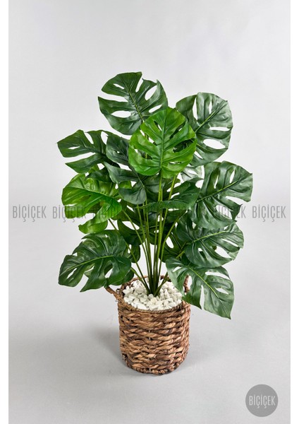 Yapay Monstera Deve Tabanı 65-70 cm Hasır1 fiyatları