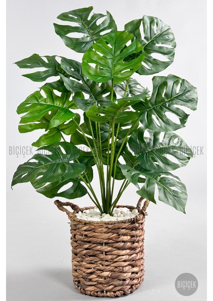 Yapay Monstera Deve Tabanı 65-70 cm Hasır1 indirimleri