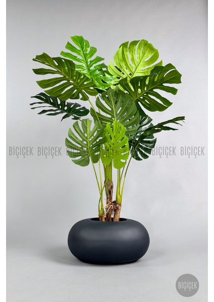 Yapay Monstera Ağacı 150 cm Bone Saksıda
