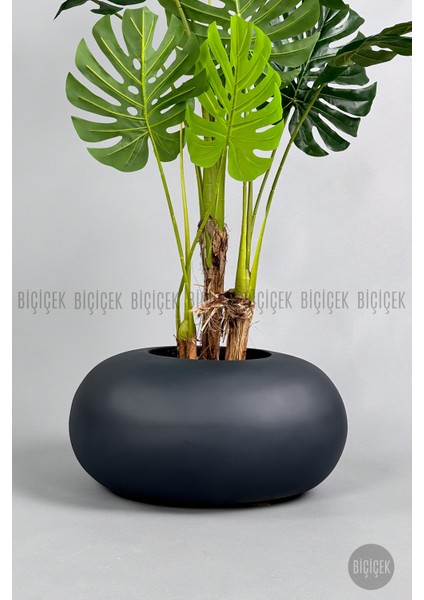 Yapay Monstera Ağacı 150 cm Bone Saksıda fiyatları