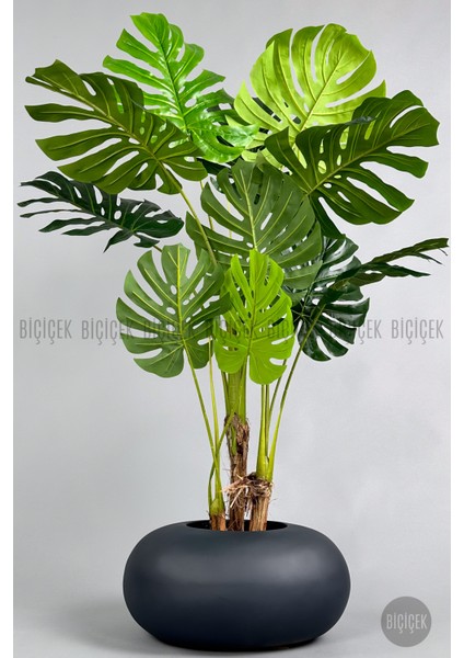Yapay Monstera Ağacı 150 cm Bone Saksıda fırsatları