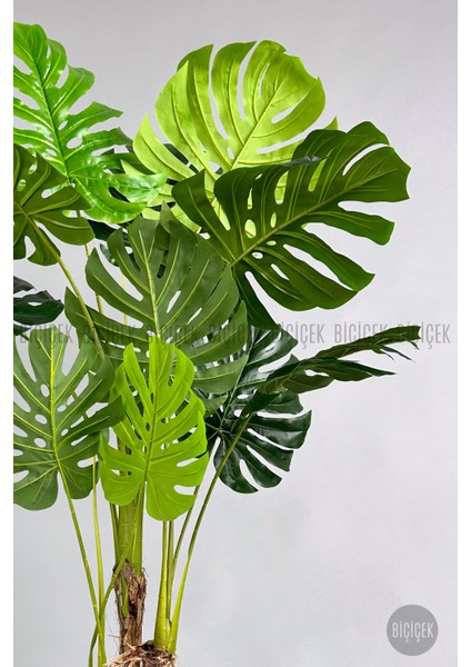 Yapay Monstera Ağacı 150 cm Bone Saksıda indirimleri