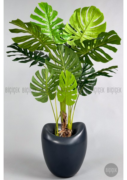 Yapay Monstera Ağacı 170 cm Bone Saksıda