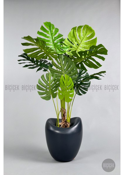 Yapay Monstera Ağacı 170 cm Bone Saksıda modelleri