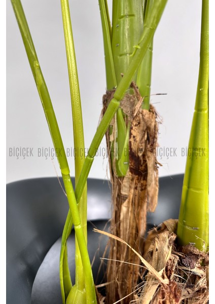 Yapay Monstera Ağacı 170 cm Bone Saksıda fırsatları