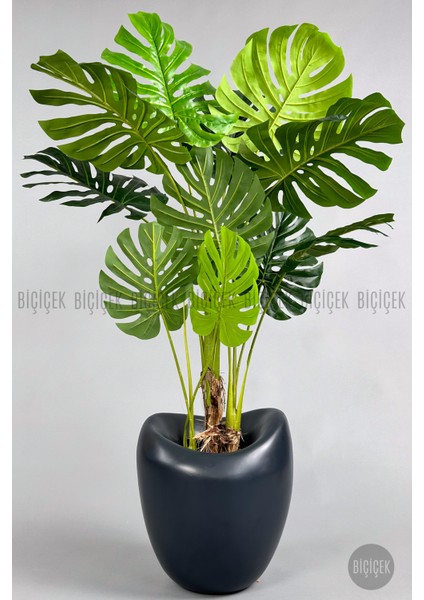 Yapay Monstera Ağacı 170 cm Bone Saksıda indirimleri