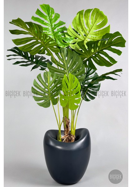 Yapay Monstera Ağacı 170 cm Bone Saksıda