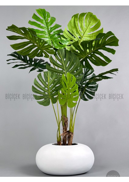 Yapay Monstera Ağacı 150 cm Bone Saksıda