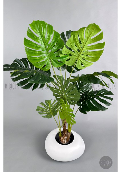 Yapay Monstera Ağacı 150 cm Bone Saksıda modelleri