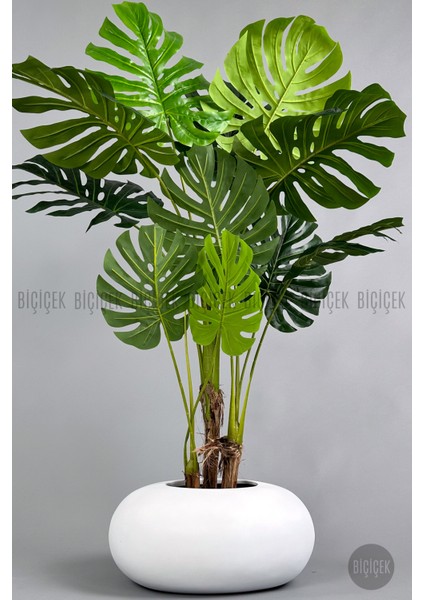 Yapay Monstera Ağacı 150 cm Bone Saksıda fırsatları