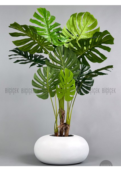 Yapay Monstera Ağacı 150 cm Bone Saksıda
