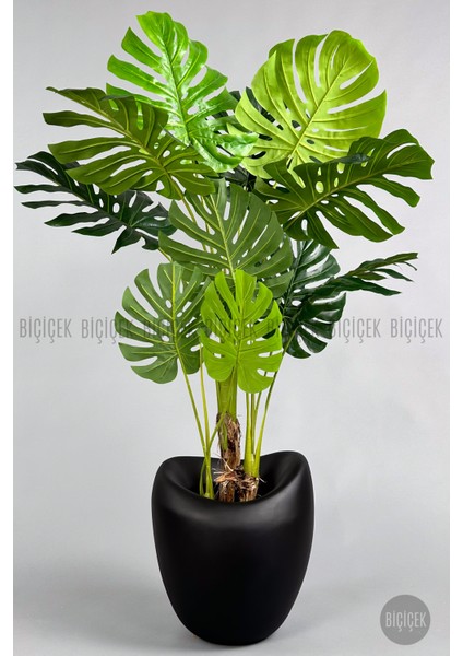 Yapay Monstera Ağacı 170 cm Bone Saksıda