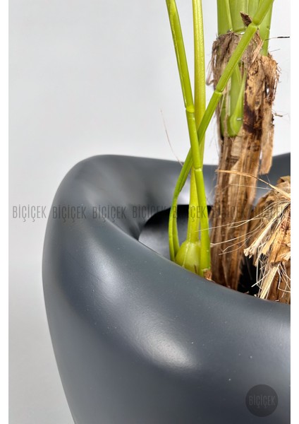 Yapay Monstera Ağacı 170 cm Bone Saksıda fiyatları