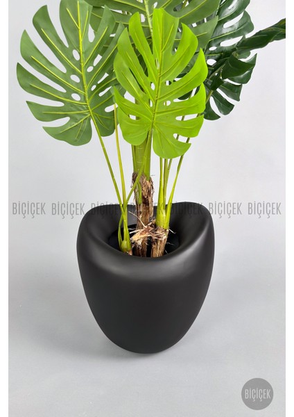 Yapay Monstera Ağacı 170 cm Bone Saksıda modelleri