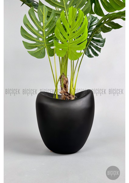 Yapay Monstera Ağacı 170 cm Bone Saksıda indirimleri