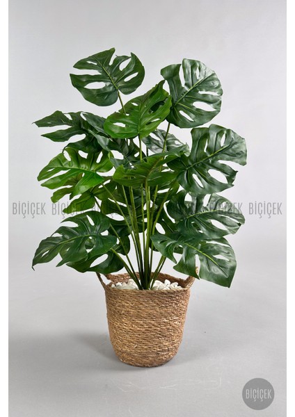 Yapay Monstera Deve Tabanı 65-70 cm Hasır3 modelleri