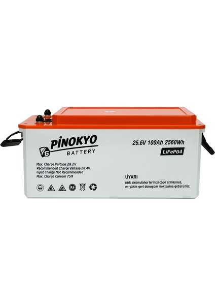 25.6 V 100 Ah LİFEP04