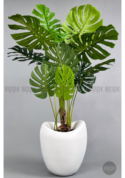 Yapay Monstera Ağacı 170 cm Bone Saksıda