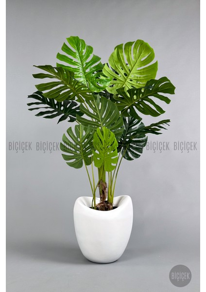 Yapay Monstera Ağacı 170 cm Bone Saksıda modelleri