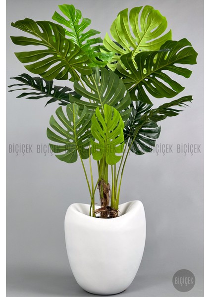 Yapay Monstera Ağacı 170 cm Bone Saksıda fırsatları