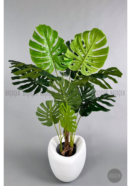 Yapay Monstera Ağacı 170 cm Bone Saksıda indirimleri